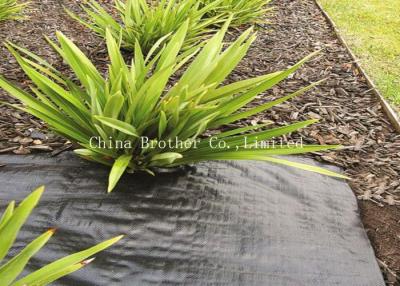 China Water Permeable Ground Weed Control Fabric Suppressant Membrane Eco Friendly for sale