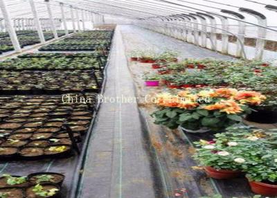 China Disposable Polypropylene Ground Weed Control Fabric 3% UV Protection for sale