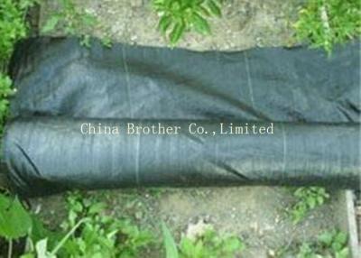 China Pp Agriculture Woven Ground Weed Control Fabric For Plant Protection for sale