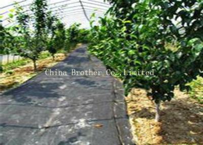 China 95gsm PP Woven Ground Weed Control Fabric Strong Tensile Resistance for sale