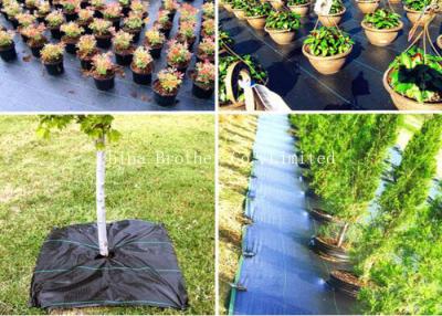 China Anti UV Polypropylene Ground Weed Control Fabric Non Toxic Customized Size for sale