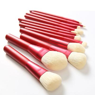 China Angular Blush 12 Pcs Makeup Brush Portable Beauty Vegan 2020 Cruelty Free Woman Red Makeup Make Up Set for sale