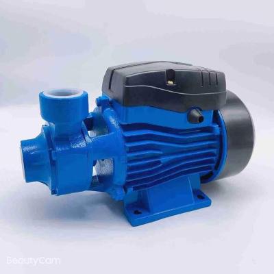 China Developing World Water Solutions QB60 Pump Eddy Current Pump Domestic0.37KW/0.5HP QB60 Peripheral Peripheral Water Pump 0.37kw 0.5hp qb60 Peripheral Clean Water for sale