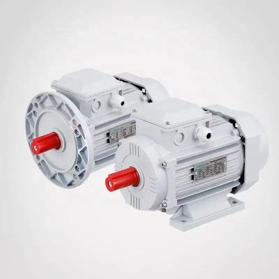 China High Quality MS PI44/IP55 Series Three Phase Motor Aluminum Aluminum Foil - Shell Three Phase Asynchronous Motors for sale