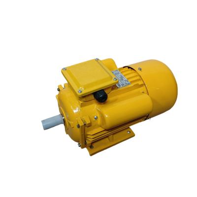 China YCsingle-phase IP44/IP54 heavy-dutyr small asynchronous motor 0.5HP single-phase induction motor 220V single-phase motoYC series for sale