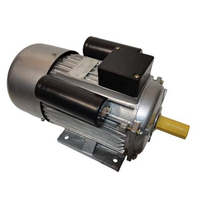 China IP44/IP54 YCL Series Single Phase AC Asynchronous Motor 0.5HP/1HP/2HP/3HP for sale