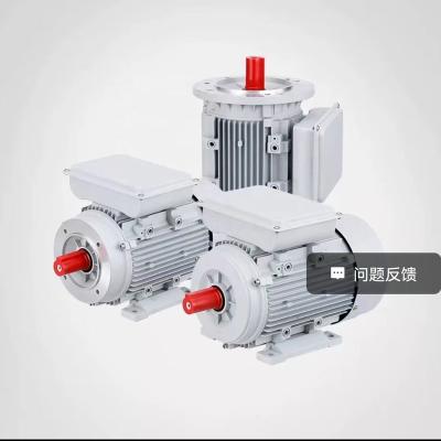 China IP44/IP54 Selling ML100L1-4/2.2KW3HPML Dual Single Phase Capacitor Start Motor ML100L1-4/2.2KW3HPML Asynchronous Single Phase AC Motor for sale