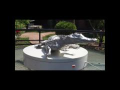Cast Polished Stainless Steel Crocodile Decoration Sculpture