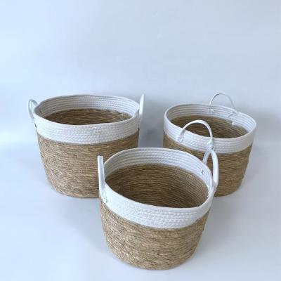 China Viable Round Grass and Sea Cotton Rope Basketry for Storage or Planting for sale