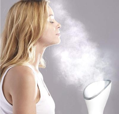 China Nourishing Warm Home Use Facial Warm Mist Humidifier Electric Facial Steamer for sale