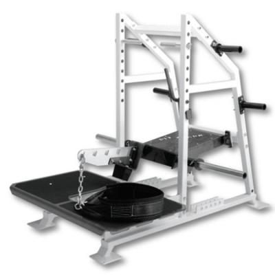 China Universal gym high quality commercial squat equipment fitness bodybuilding belt rack squat model for sale for sale