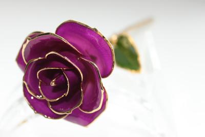 China Tauchte handgefertigtes Gold überzogenes Gold Rose 24k Rose - Mutter-Tagesgeschenk ein zu verkaufen