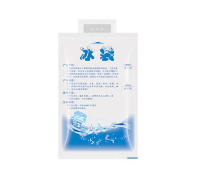 China Recyclable Reusable Ice Pack Ice Pack Cooler Bag For Food Packing Cold Cool Bag for sale