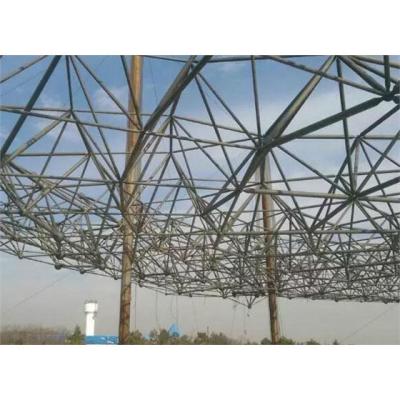 China Workshop EU/ASTM Standard Pig Farm House Steel Structure Poultry Dome Structures Systems School Building Steel Gas Station for sale