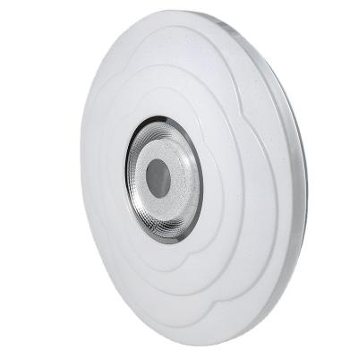 China Outdoor Mounted Round Ceiling Light Fixtures For Home Lighting Surface Mounted Modern LED Ceiling Light for sale