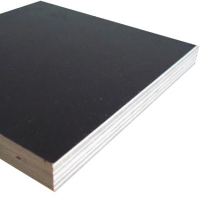 China Industrial Large Size 2000x5400mm Black Eucalyptus Hardwood Core Film Faced Plywood Film Faced For Construction for sale