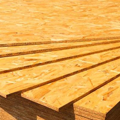 China Cheap Traditional Wholesale Price 9mm/12mm OSB Wooden OSB Waterproof Board For Construction for sale