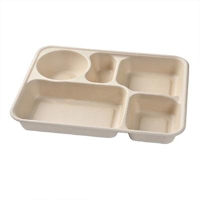 China 5 Compartment Disposable Eco-friendly Lunch Box Disposable Food Box With Lid for sale