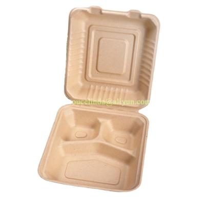 China Biodegradable Clamshell Box 800ml Square Clamshell Takeout Box for sale