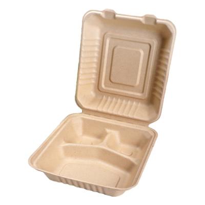 China Biodegradable Eco Friendly Fast Food Box Clamshell Box Takeaway Lunch Box for sale