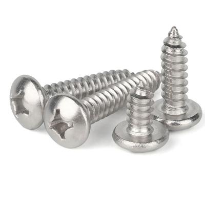 China Industry General Cross Recessed Pan Head Tapping Screws for sale