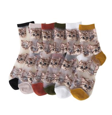 China Cat Socks Wholesale Japanese style cute thin silk glass tube stockings 2022 new summer antibacterial transparent antibacterial kicks for sale