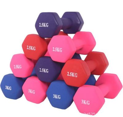 China Universal Gym Dumbbells Colorful Weightlifting Vinyl Gym Hex Rubber Dumbbell for sale