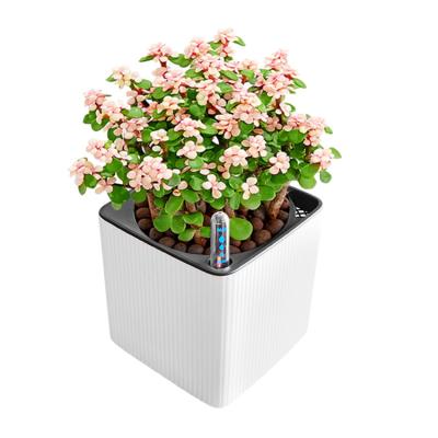 China New minimalist intelligent self-absorbing white frosted plastic flower pot water flower pot square wall hanging flower pot for sale