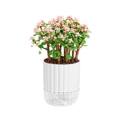 China Minimalist For Sale Indoor Cheap White Plastic Flower Pot With Cotton Thread Self Watering Flower Pots for sale