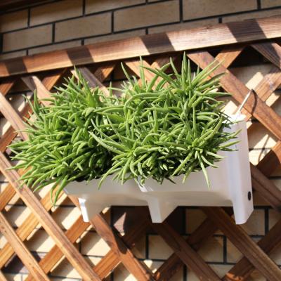 China Wholesale Plastic Minimalist Flower Pots Basket Planter Second Generation Plant Wall Durable Hanging Flower Pots for sale