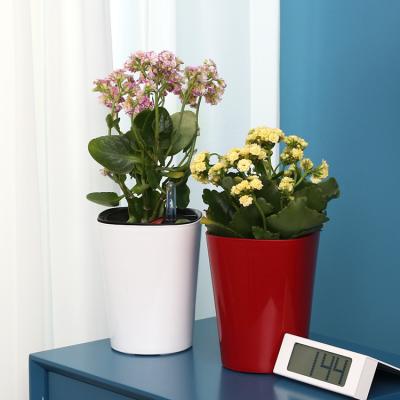 China Wholesale Minimalist Indoor Plastic Flower Pots Smart Lazy To Water Square Flower Pots for sale