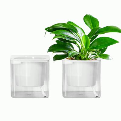 China Minimalist Wholesale Garden Supplies Nursery Succulents Planter Flower Potted Cube Plastic Transparent White Flower Pots for sale