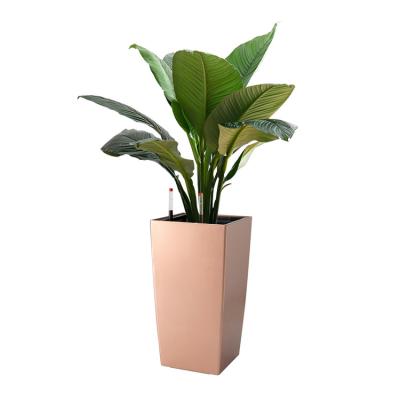 China Morden wholesale outdoor flower pot for living room for sale large outdoor large size plastic flower pots for sale