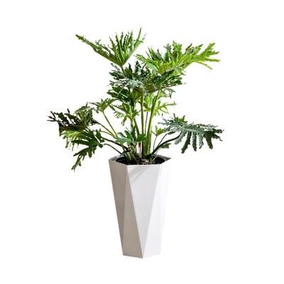 China Latest Modem Design Promo New Large Pots Large Plant Plastic Modern Decorative Planters Flower Grower Outdoor Flower Grower Popular Indoor Or for sale