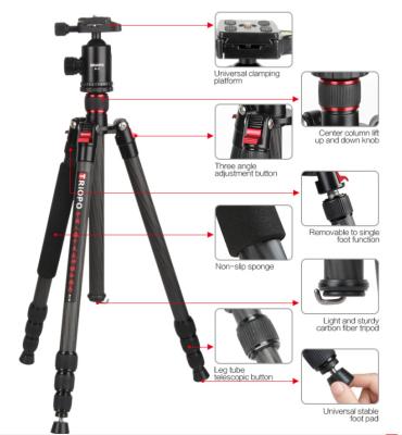 China Professional Digital Camera Tripod GT-2505X8.C+NB-1S Carbon Fiber Tripod For Photography for sale