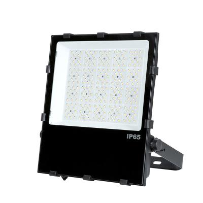 China LANDSCAPE Use IP65 Outdoor Garden Lights 200W LED Flood Light for sale