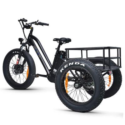 China Fat Tire 500W 20/24 Inch Pedal Assist Cheap Adult Electric Tricycle Three Wheel Electric Bike VeloMove Cargo for sale