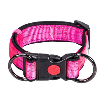 China Personalized Adjustable Luminous Dog Pet Collar Cat Dog Puppy Safety Best Pet Supplies for sale