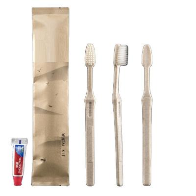 China Plastic Injection Molding For Plastic Products Processing Customized 100% Wheat Straw PLA PBAT Disposal Biodegradable Toothbrush Razor Comb Dental Kit Shaving Kit For Hotel for sale