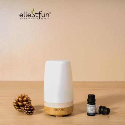 China Home/Hotel/Company 100ml Aroma Essential Oil Diffuser GH2123 for sale