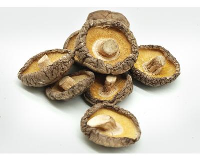 China High quality cultured dried shitake mushroom forasen products 4-5cm for sale