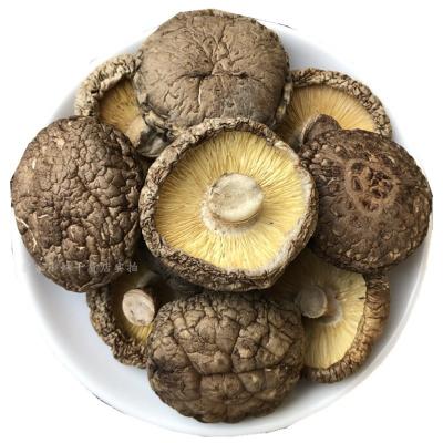 China Dry Dry Premium Spreads Organic Shiitake Mushrroms With HACCP BRC Certification for sale