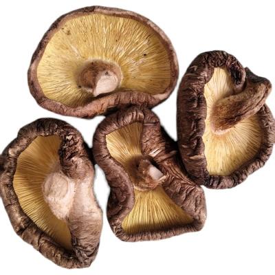 China Dried top 4-5cm shitake mushroom grown in China Qinyuan for sale