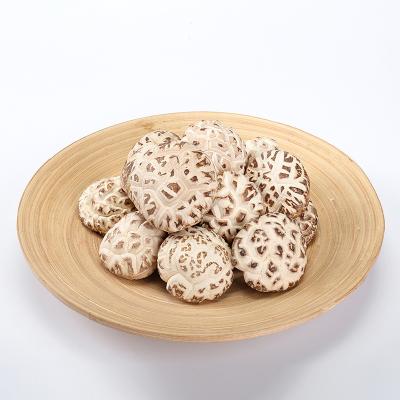 China Forasen Farmmi 3-4cm dry hot sale shiitake mushroom China dried shiitake mushroom for sale is magic mushroom for sale