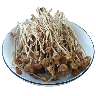 China Agrocybe Aegerila Dried Dry Mushroom Farmmi Dried Tea Tree Mushroom Forasen Agrocybe cylindracea for sale