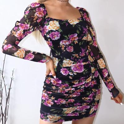 China 2022 Wholesale Breathable Printed Mesh Long Sleeve Mini Dress for sale