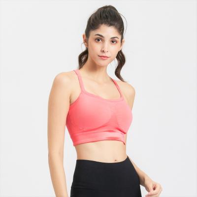 China High performance padd breathable seamless sports bra removable fitness bra for sale