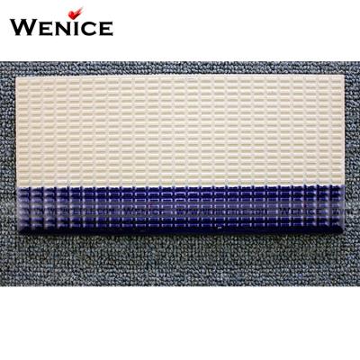 China Exterior Tiles Porcelain Supplier Ceramic Swimming Pool Sniffing Tiles To Sniff System for sale