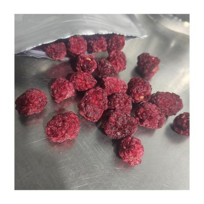 China Cat / Dog Manufacturers Direct Selling Frozen Blackberry Dried Fruit Taste Freeze Dried Blackberry For Pets for sale