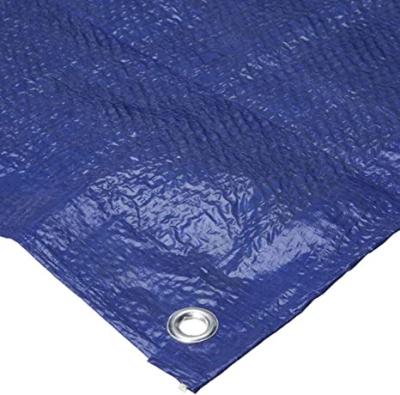 China Fire Retardant Tarpaulin Blue Tarpaulin Sheet Reinforce Cherry Tarpaulin for sale